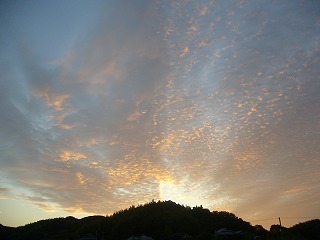 200710　雲　オウム
